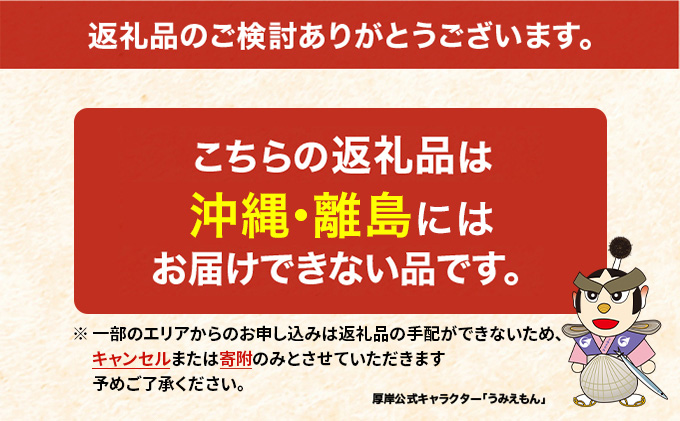 3月配送 訳あり 牡蠣 北海道厚岸産 殻付カキ 約4kg (25から50