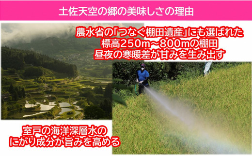 【新米予約】令和7年産土佐天空の郷 食べ比べ5kgセット 農林水産省の「つなぐ棚田遺産」に選ばれた棚田で育てられた棚田米