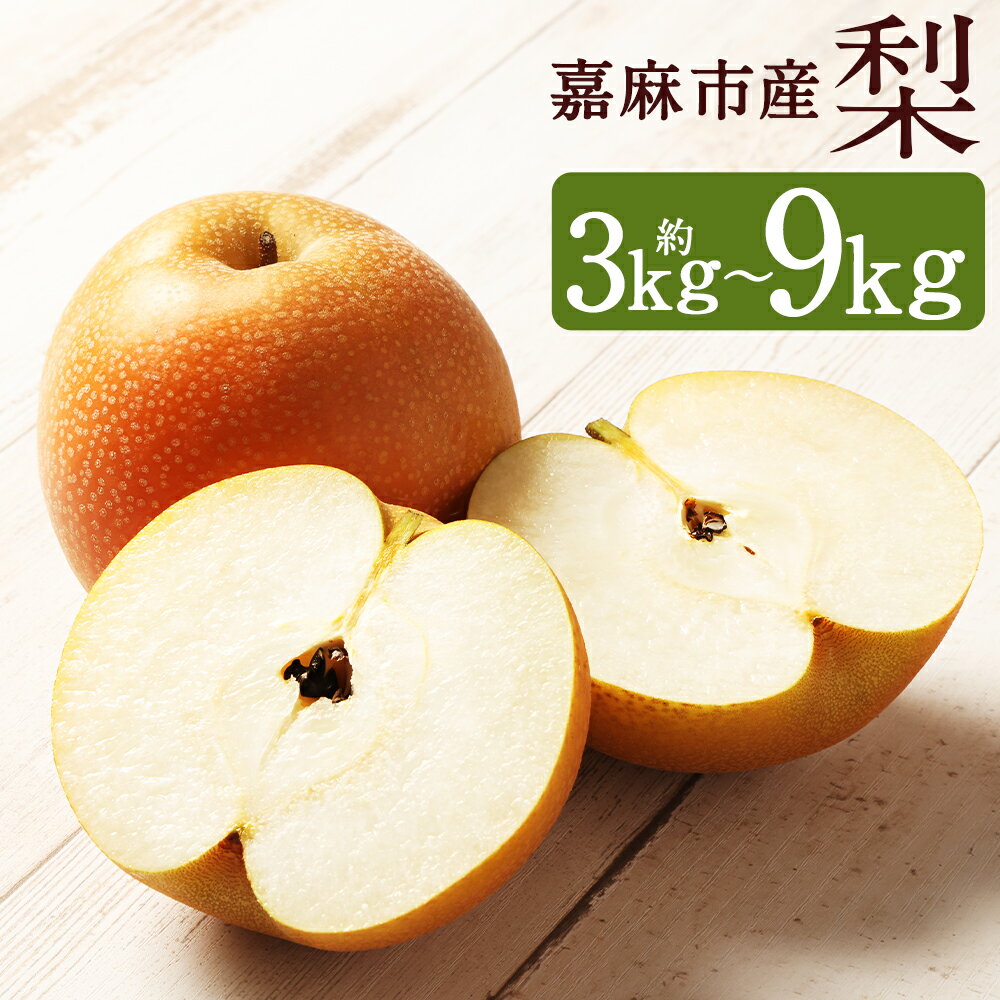 【ふるさと納税】梨 約3kg ／ 約4.5kg ／ 約7kg ／ 約9kg 《選べる内容量》 幸水 豊水 二十世紀 あきづき 新高 新興 南水 王秋 果物 くだもの フルーツ 果実 九州産 国産 福岡県産 数量限定 期間限定 送料無料【2026年8月上旬～2027年1月下旬発送予定】