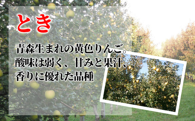 10月発送 家庭用 葉取らず とき 約5kg【訳あり】【鶴翔りんごGAP部会 青森県産 津軽産 リンゴ 林檎】