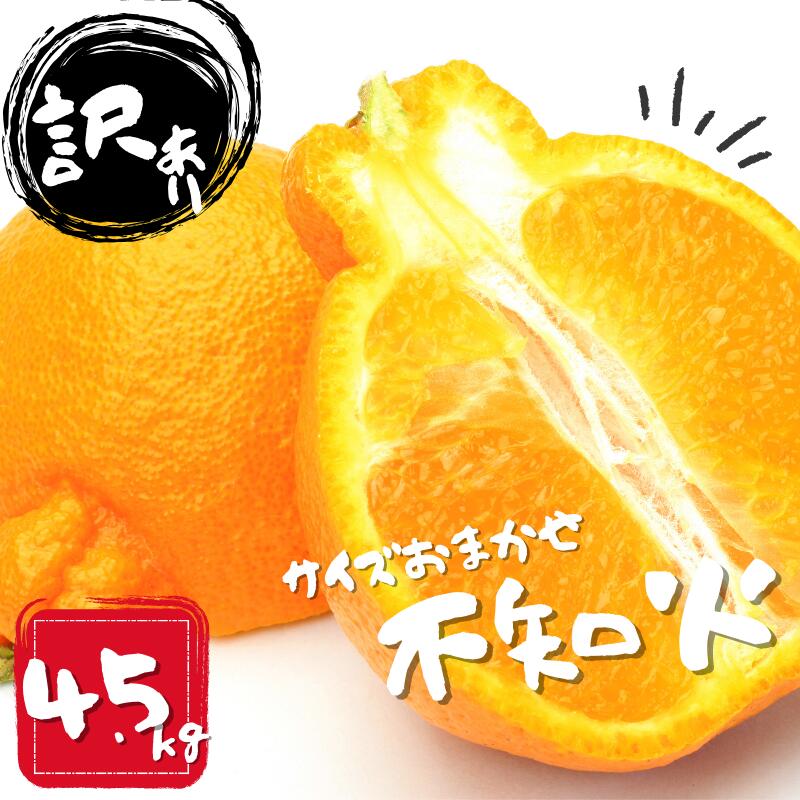 【ふるさと納税】 《レビューキャンペーン実施中！》 訳あり 不知火 石本農園の 不知火 4.5kg M~4L サイズおまかせ 【2026年2月上旬から3月上旬までに順次発送】 デコポン みかん ミカン 蜜柑 柑橘 果物 くだもの フルーツ 訳あり 家庭用 予約 人気 産地直送 送料無料