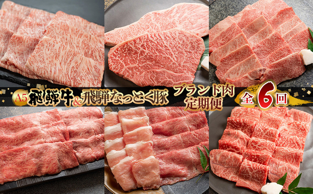 
【定期便6回】 飛騨牛 ＆ なっとく豚 ブランド肉 定期便 6回 牛肉 豚肉 (ステーキ / すき焼き / しゃぶしゃぶ / 焼き肉) カルビ イチボ お楽しみ 下呂温泉 おすすめ ブランド牛 赤身 霜降り 肉ギフト 国産 焼肉 豚しゃぶ ギフト 100000円 岐阜県 下呂市 天狗 菊の井ミート
