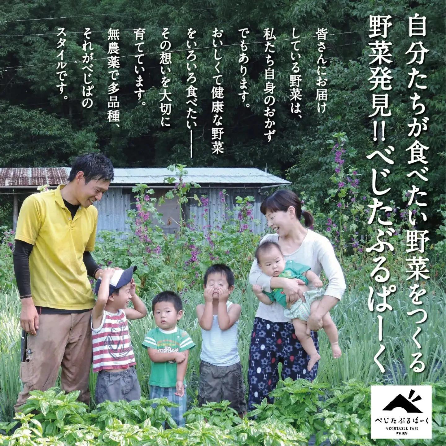 [定期便 6回] 【大阪能勢産】 《農家直送》 べじたぶるぱーくの旬の新鮮野菜詰合せ Lセット (10種類) | 6回(隔月)  定期便 6ヶ月 定期 野菜詰め合わせ 野菜 農薬 化学肥料不使用 新鮮