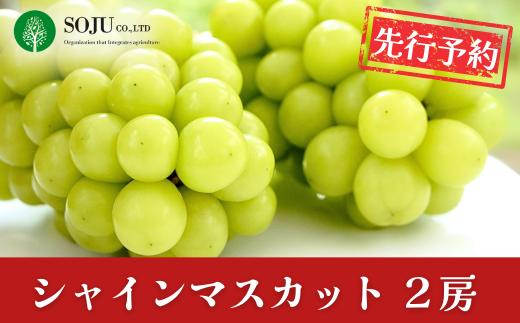 先行予約 シャインマスカット 2房 令和8年度 贈答用 新潟県 三条市産 ぶどう [三条果樹専門家集団]【016P032】