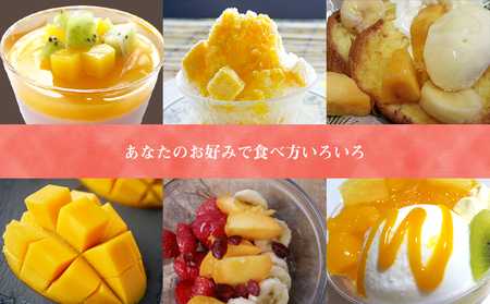 生産者応援！！訳ありだが美味しい完熟アップルマンゴー2kg　【2024年発送】農園直送！