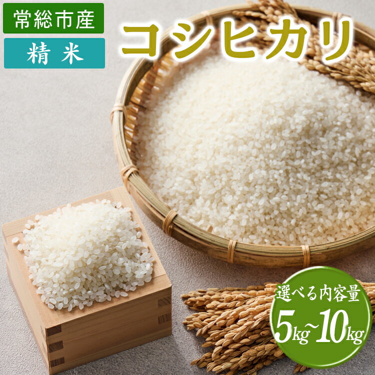 【ふるさと納税】【選べる内容量】令和7年産 精米 コシヒカリ5～10kg 茨城県常総市産