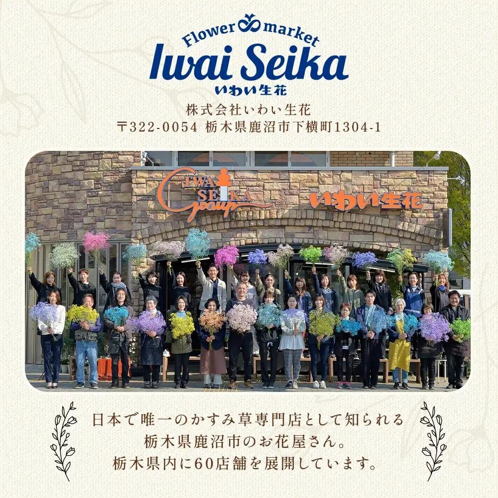 【季節の花束定期便】年4回届くお花の定期便 Mサイズ ※3ヶ月に1回発送