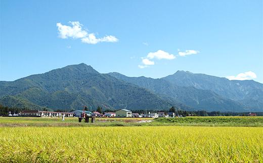 【令和7年産】南魚沼産塩沢【ぴかまる】（特別栽培米８割減農薬）精米５ｋｇ