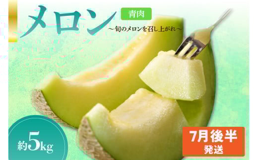 【2025年7月後半発送】【秀～優品】メロン 約5kg 程度( 青肉 ) 津軽平野のメロン 【選べる配送時期】7月 青森