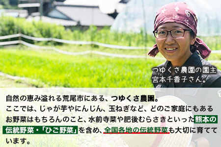 米 令和5年産 米 ひのひかり みなみにしき 食べ比べセット 1.8kg 各900g 白米 熊本県 荒尾市産 米 白米 食べ比べ 小分け つゆくさ農園 米 食べ比べ ヒノヒカリ ミナミニシキ 国産 産