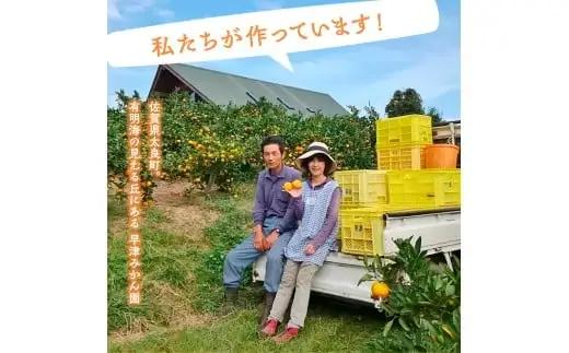 L102x1　早津みかん園の完熟プチみかん 3kg　みかん ミカン 蜜柑 温州みかん 完熟みかん 甘熟 柑橘 有機栽培 国産 佐賀県産 太良町  【2026年10月下旬～2026年11月下旬発送予定】