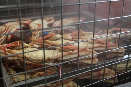 【1～3月発送】厳選湯がきたて！京丹後市産ゆで間人かに　1kg～1.1g超特大サイズ/北畿水産