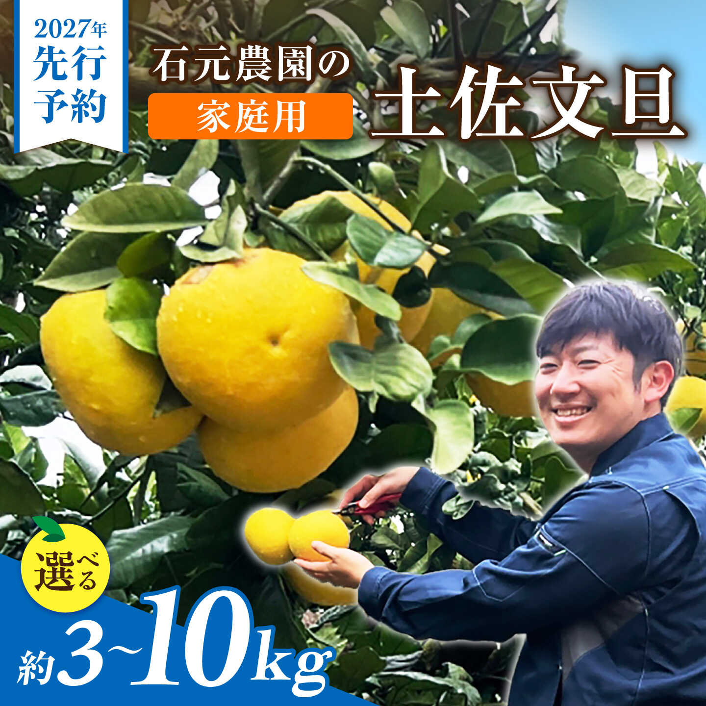 【ふるさと納税】【先行予約】石元農園の土佐文旦 家庭用 約3kg～10kg〈選べる内容量〉〈2027年2月～発送〉 土佐文旦 高知 柑橘 フルーツ ぶんたん 果物 甘い 旬 産直 お取り寄せ 季節限定 訳あり 家庭用 お得 自宅用 高知県土佐市/石元農園[BQBH001]