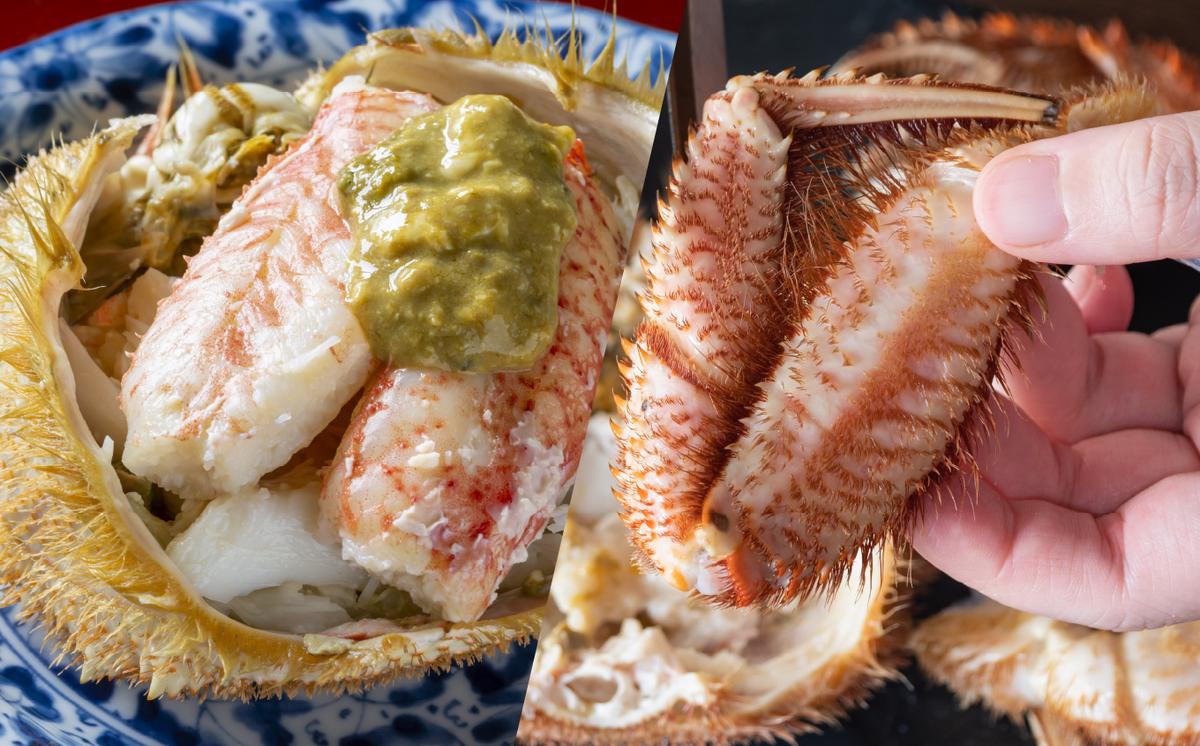 ＜2023年12月から順次発送＞【 定期便 3回 】 北海道産 海の