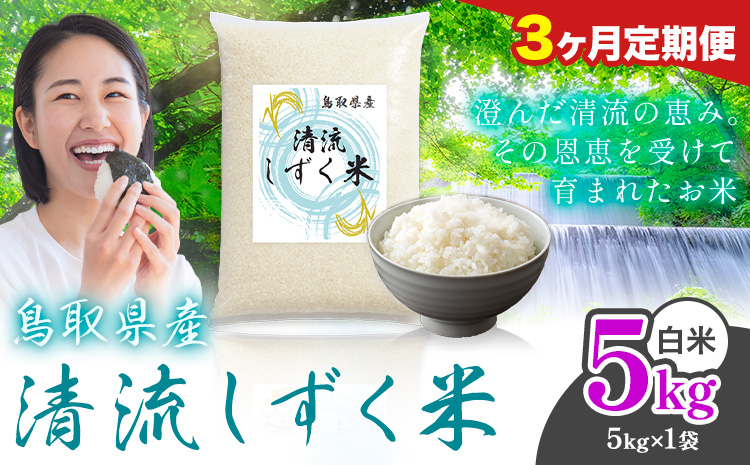 【3ヶ月定期便】鳥取 ふるさと 白米 5kg 清流しずく米《お申し込み月の翌月から出荷開始》鳥取県 八頭町 米 お米 ご飯 八頭 ふるさと無洗米 生活応援 ブレンド米 複数原料米 訳あり 小分け kome ご飯