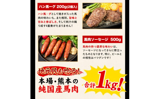 純国産馬刺し＆馬肉料理福袋 計1kg 《90日以内に出荷予定(土日祝除く)》 熊本肥育 2年連続農林水産大臣賞受賞---hkw_fba5syu_90d_22_14000_1kg---