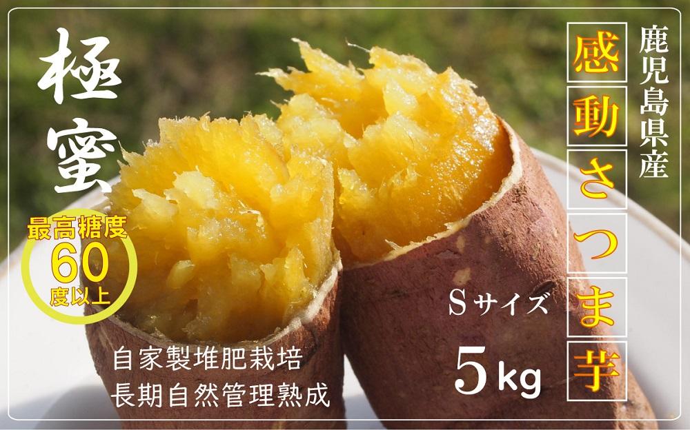 【鹿児島県産】熟成 紅はるか 5kg (1箱 ) Sサイズ さつまいも