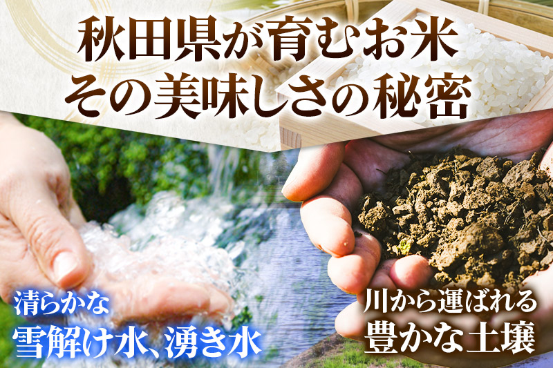米 あきたこまち 10kg 令和7年産 白米 田口商店 農家直送 秋田県産