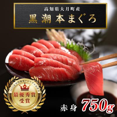 ふるさと納税 大月町 【高知県産 養殖本マグロ】赤身 750g 黒潮本まぐろ 刺身用 小分け柵 急速冷凍 最優秀賞受賞