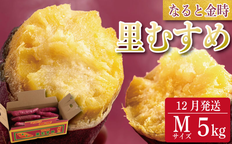 さつまいも 鳴門金時 5kg 2025年12月発送 なると金時 Mサイズ 里むすめ 芋 野菜 スイーツ スイート チップス 棒 箱 詰め 紅 甘い お菓子 金時 大学 種類 生 調理 干し芋 焼き芋 