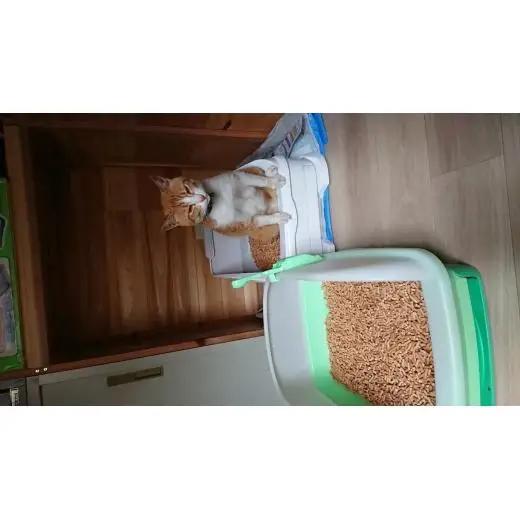 N224　森のねこトイレ　くずれるタイプ　５Ｌ×４袋