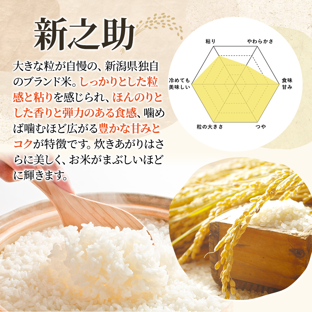 令和8年産 新潟県上越市産 新之助 定期便 10kg×6回 60kg しん