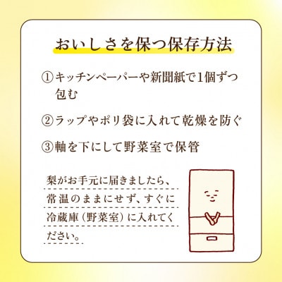あきづき 梨 3kg 6～10玉 【2026年収穫分】かすみがうら市【配送不可地域：離島・沖縄県】
