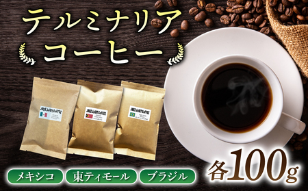 【豆のまま】産地違いコーヒー豆　3種類飲み比べ （メキシコ/東ティモール/ブラジル）各100g｜テルミナリアコーヒー コーヒー豆ドリップコーヒーレギュラーコーヒー