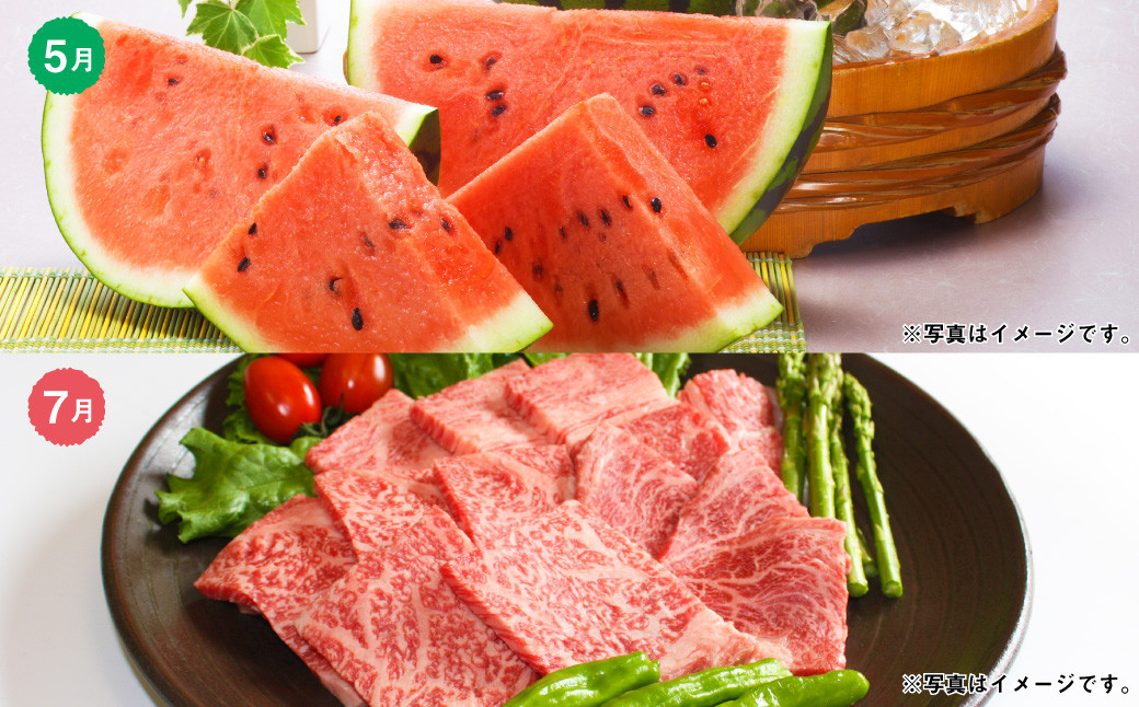 【6か月隔月定期便】熊本便り！熊本の名品堪能定期便