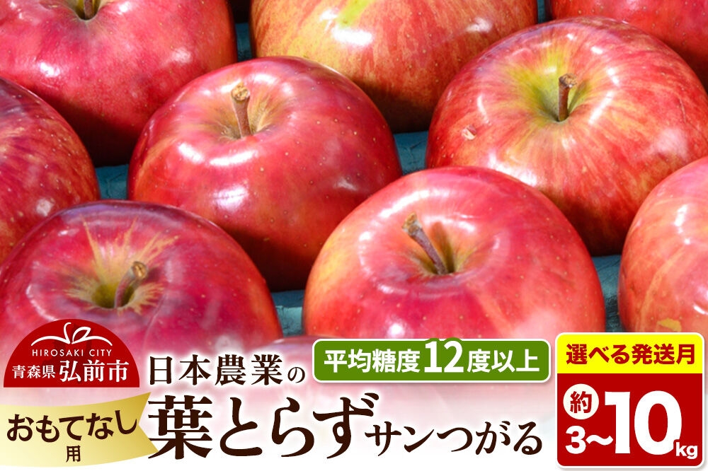 
                  りんご 葉とらずサンつがる【おもてなし用】平均糖度12度以上【選べる約 3kg／5kg／10kg×26年 9月クール便／10月 発送】青森県産 果物 フルーツ 林檎 リンゴ くだもの [産地直送 アップル 青森県 弘前市]
                