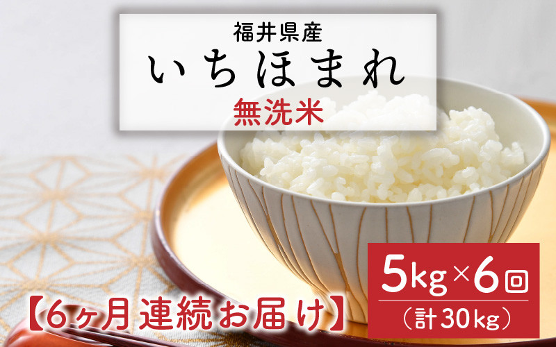 
                  【令和7年産】定期便 ≪6ヶ月連続お届け≫ 福井県のブランド米 いちほまれ 無洗米 5kg × 6回 計30kg 【 無洗米 人気 品種 ブランド米 特A 】 [J-6112]
                