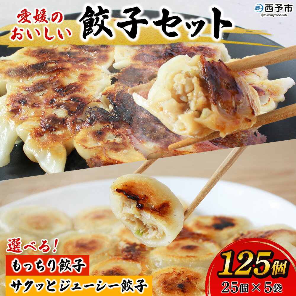 【ふるさと納税】＜愛媛のおいしい餃子セット もっちり餃子 / サクッとジューシー餃子 125個（25個×5袋）＞選べる2種 ギョーザ ぎょうざ 国産 本格 丸餃子 もちもち パリッ 鍋 焼き餃子 水餃子 ブランド豚 浅野食品 愛媛県 西予市【冷凍】『1か月以内に順次出荷予定』