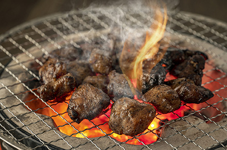 はかた地どり 炭火焼セット 500g(100g×5P) 吉富町/株式会社MEAT PLUS[BGAB028]
