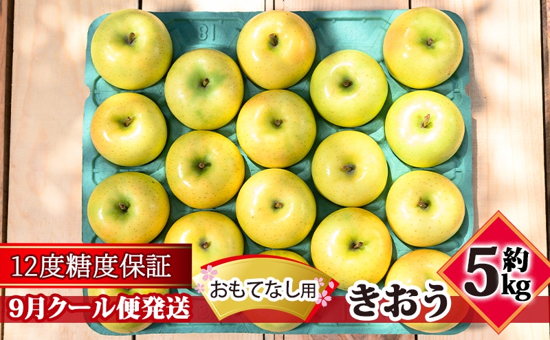 
                  【9月クール便発送】（12度糖度保証）おもてなし用 家庭用 きおう約5kg【 青森りんご 果物類 林檎 リンゴ 青森県産 フルーツ 旬の果物 産地直送  】
                