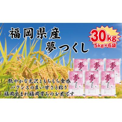 ふるさと納税 大刀洗町 【令和7年産新米予約】【食味鑑定士厳選】福岡県産 夢つくし30kg(5kg×6袋)(大刀洗町)