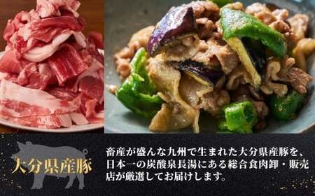 豚肉切り落とし 3kg | 豚肉 小分け 使いやすい 大容量 国産 冷凍