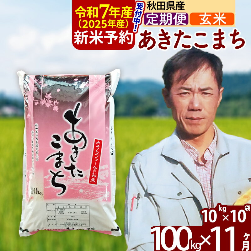 【ふるさと納税】※令和7年産 新米予約※《定期便11ヶ月》秋田県産 あきたこまち 100kg【玄米】(10kg袋) 2025年産 お届け周期調整可能 隔月に調整OK お米 みそらファーム