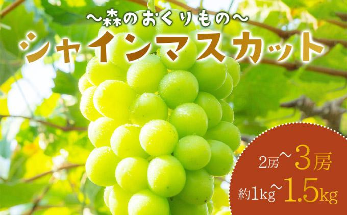 
            【選べる容量】2025年発送分 先行予約＜～森のおくりもの～＞朝採り直送！シャインマスカット 1kg以上〜1.5kg（ご家庭用）【025-a028】
          