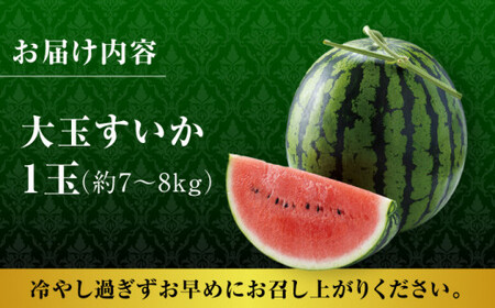 【先行予約】【数量限定】大玉 すいか LLサイズ【株式会社 前田ファーム】[ZCM002]