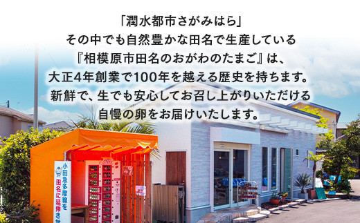 【7ヶ月定期便】【毎月後半発送】相模原市田名のおがわのたまご　ピンク卵 Mサイズ 30個(27個＋割れ補償3個)×7か月 | 卵 鶏卵 玉子 たまご 生卵 国産 濃厚 コク 旨味 旨み