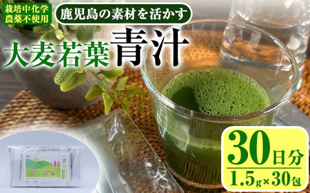 鹿児島県産 大麦若葉 茶農家 が 作った 素材 を 活かす 美味しい 青汁 (1.5g×30包・計30日分) 国産 ドリンク 【アグリおおすみ】A375