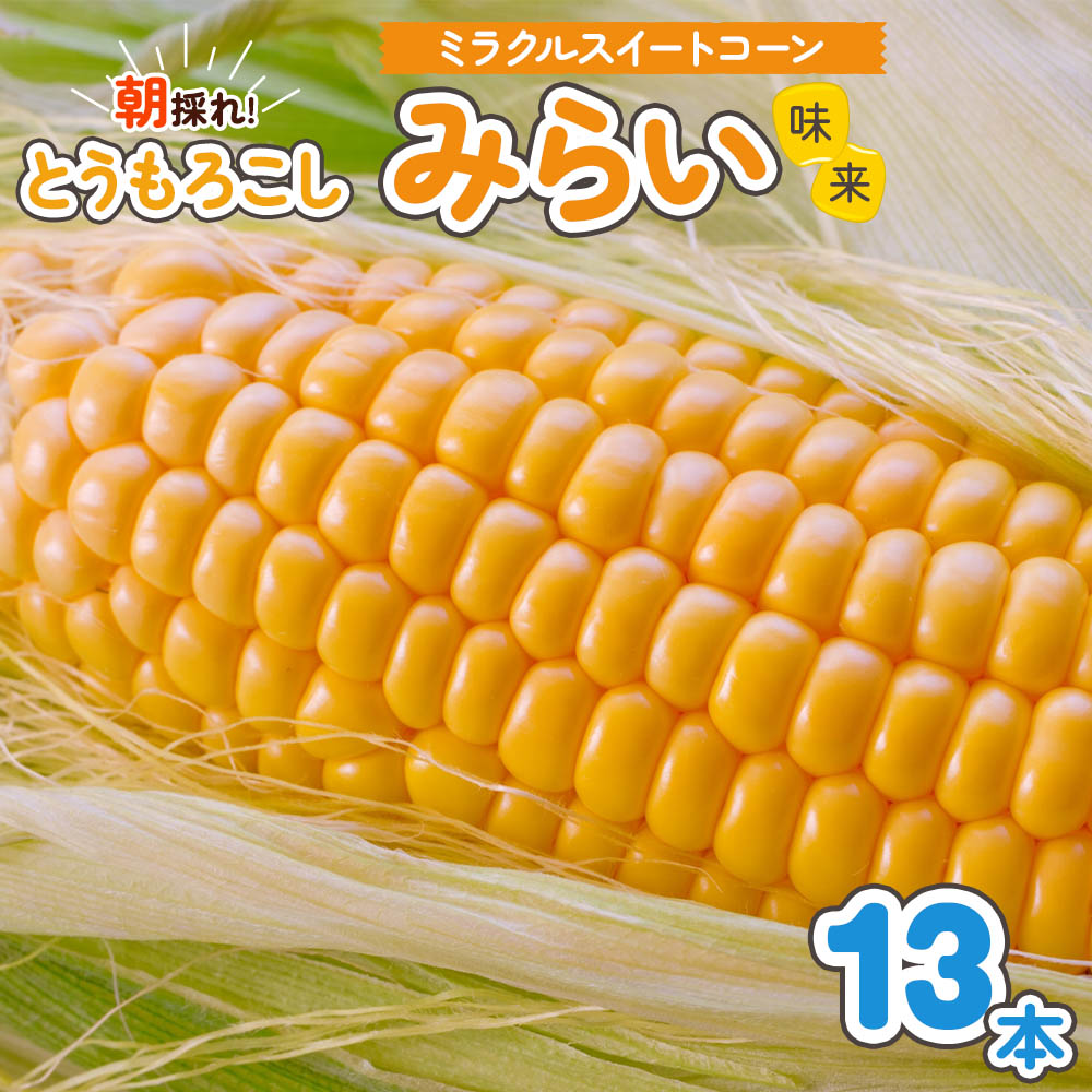 【ふるさと納税】朝採れとうもろこし みらい (味来) 13本入｜トウモロコシ スイートコーン 野菜 [0387]