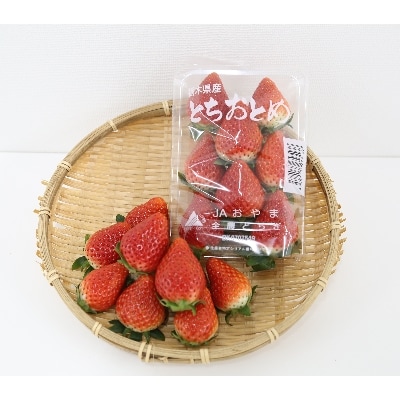 【いちご王国の逸品】小山市産「とちおとめ」 260g×4P【配送不可地域：離島・北海道・沖縄・信越、北陸・東海・近畿・中国・四国・九州】【1260963】