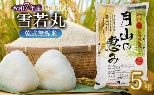 【令和7年産】 特別栽培米 雪若丸 乾式無洗米 5kg (5kg×1袋) 山形県鶴岡市産　米工房 月山 【令和8年5月25日～5月31日発送】 | 国産 ブランド米 米どころ 庄内米 大粒 食べ応え 抜群 つぶ感 新食感 バランス 良好 和食 洋食 中華 ピッタリ 冷めても おいしい おにぎり お弁当 おすすめ 人気 贈答 ギフト プレゼント 農家直送 発送週 選べる