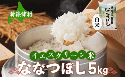 北海道 イエスクリーン米 令和6年産 ななつぼし 5kg 精米 米 白米 お米 新米 ごはん ご飯 ライス 道産米 ブランド米 新しのつ米 ふっくら 食味ランキング  産地直送 カワサキ森田屋 送料無料