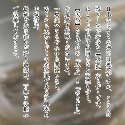 【2026年6月より順次発送】中城村産の天然太もずく 5.0kg(500g×10P)【配送不可地域：離島】