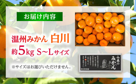 温州みかん 『白川』 約5kg S～Lサイズ 【奥村果実園】[ZFK007]