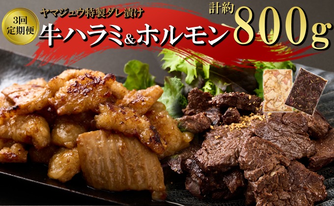 焼肉 ヤマジュウの特選タレ漬け！牛ハラミ肉＆国産牛ホルモン計８００ｇ【３回定期便】_yj086