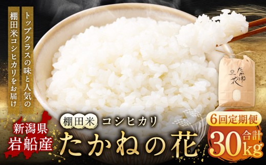 【令和7年産米】【定期便：6ヶ月連続でお届け】新潟県村上市岩船産 棚田米コシヒカリ「たかねの花」 5kg×6ヶ月　1104004