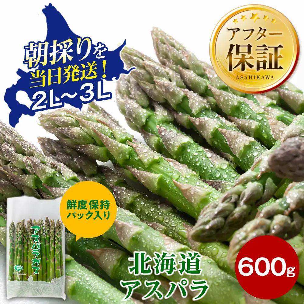【2027年先行予約】露地物朝採りアスパラ　鮮度保持フィルム入り　2～3L　600g（5月中旬発送開始予定）| アスパラ 北海道 _03816